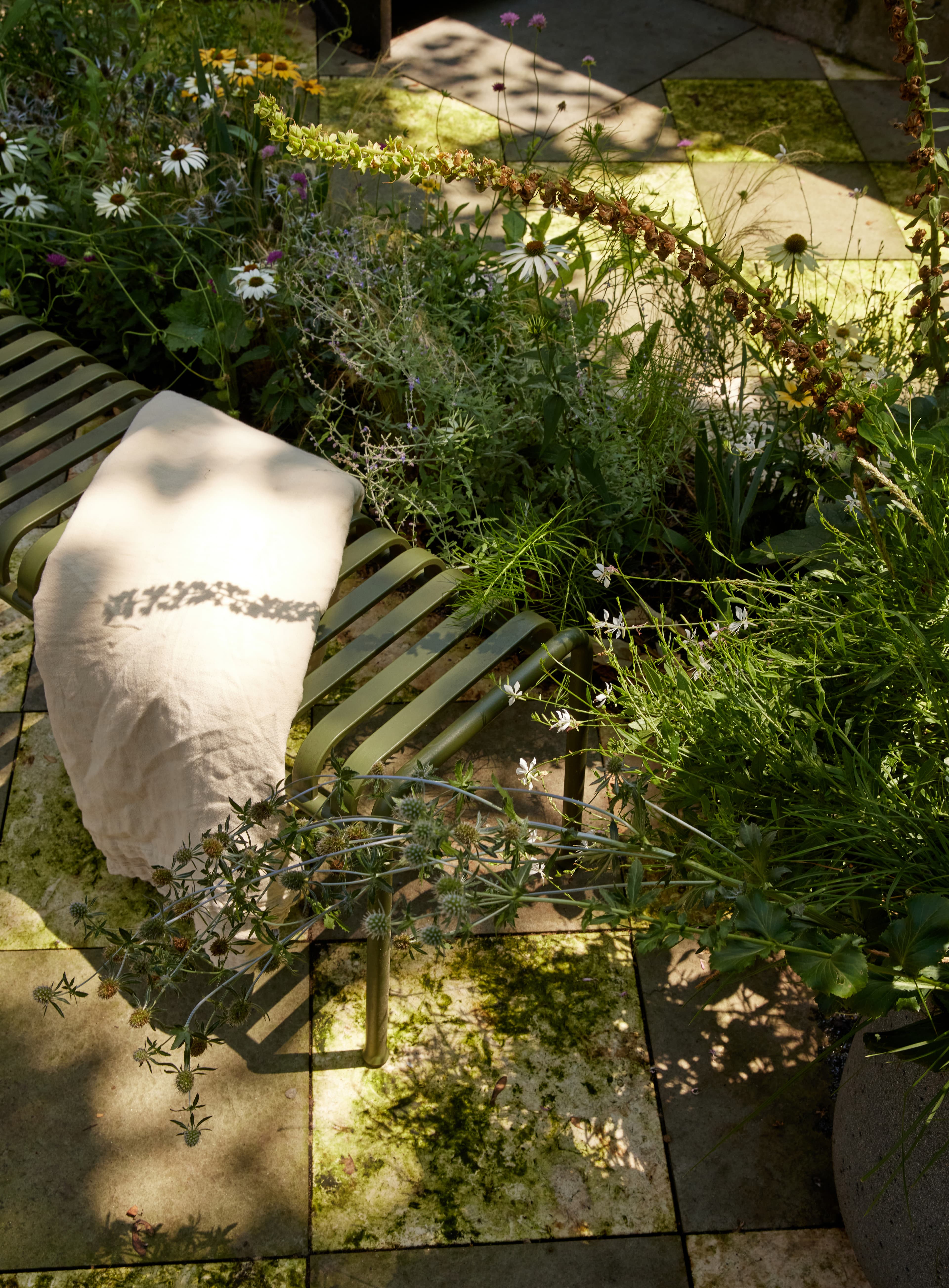 Olive-green slatted metal bench with a linen cushion surrounded by coneflowers, sea holly, and grasses on checkerboard paving
