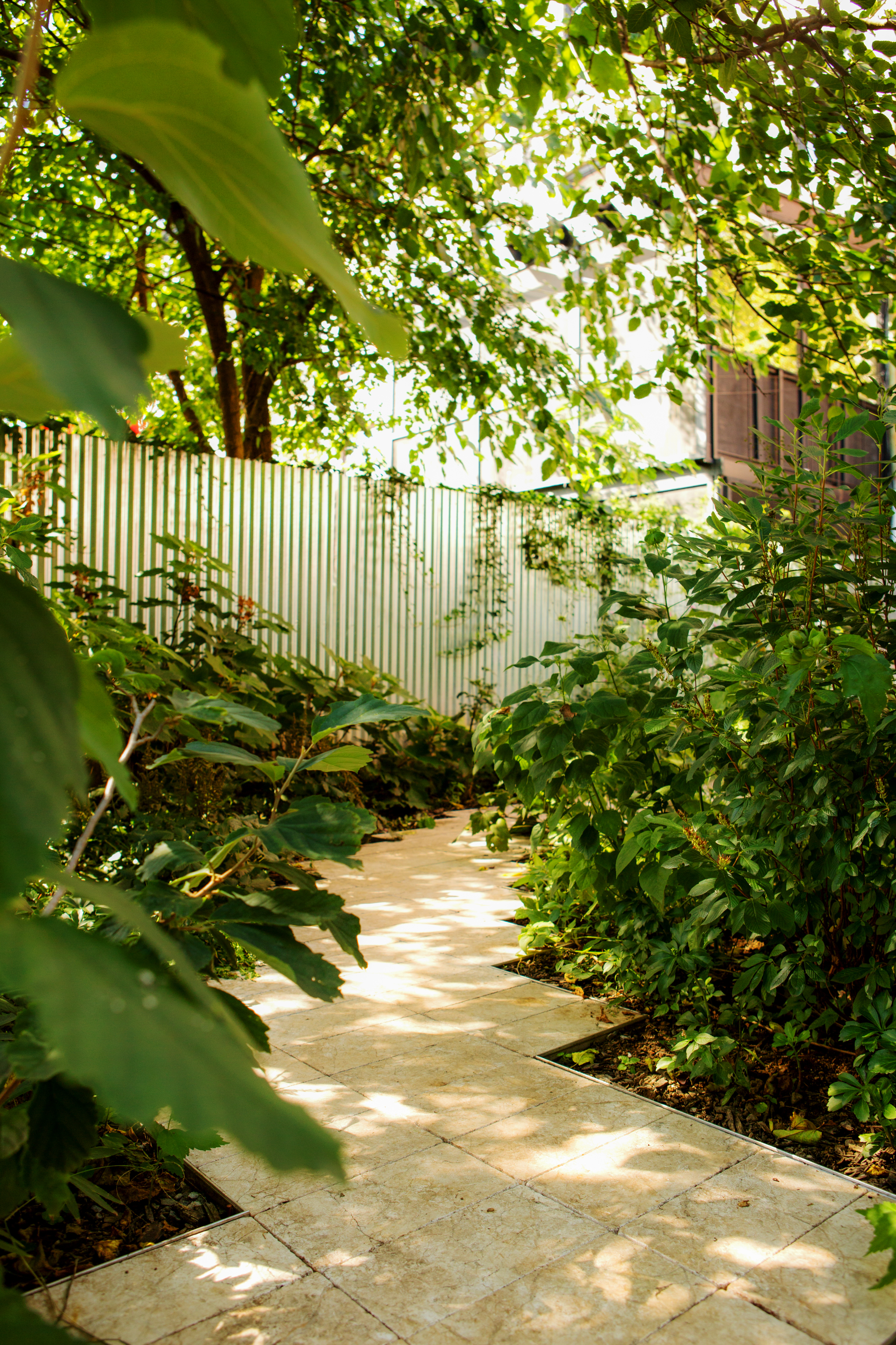 Limestone paver path with serrated edges winding through lush, shade-tolerant planting toward a reflective metal fence in Brooklyn