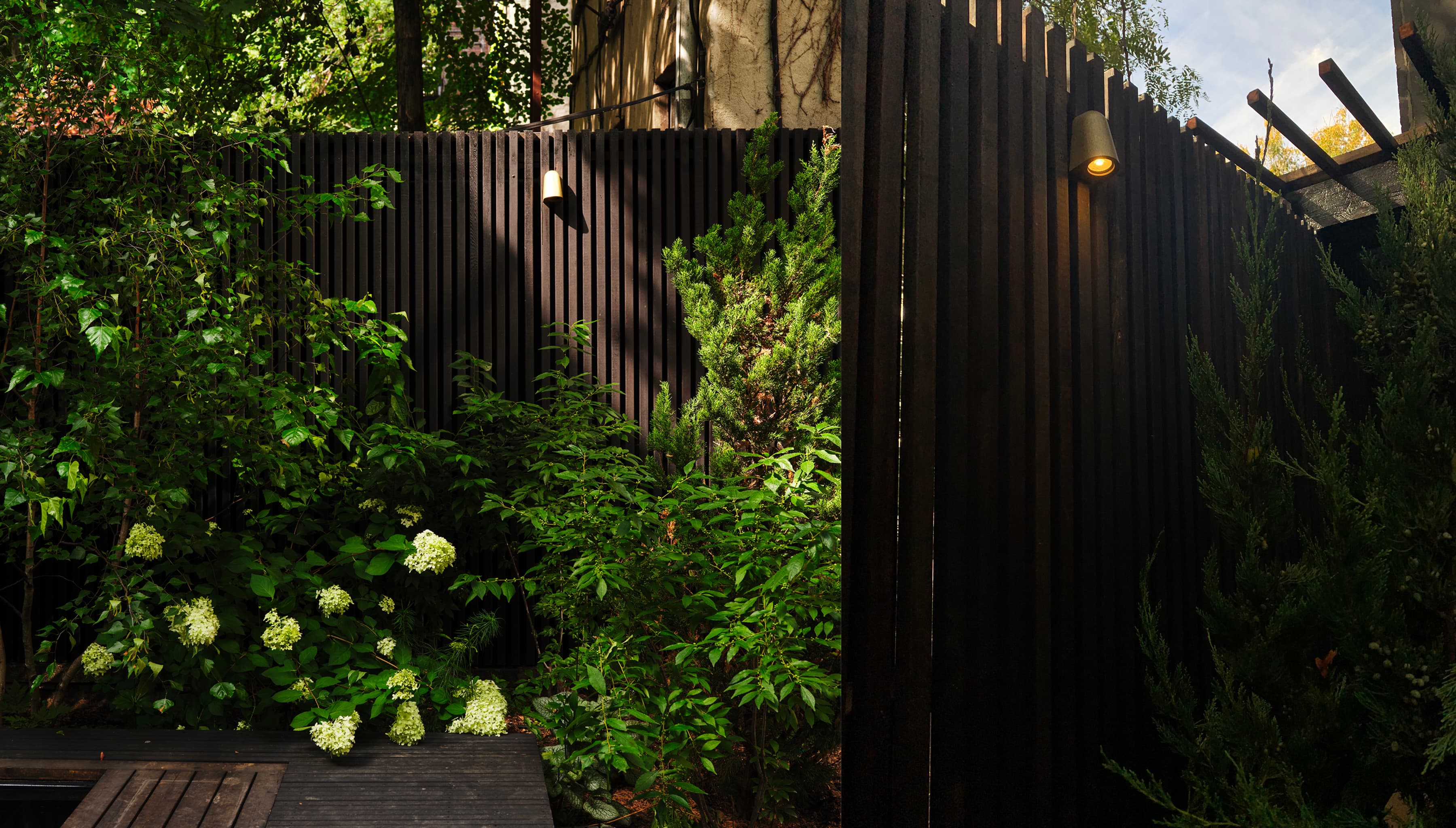 Two-panel view of a blackened wood-slat fence with a wall light, softened by limelight hydrangea, juniper, and grey birch in the Merz House garden