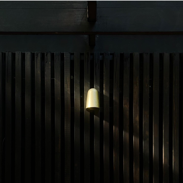 Light Bulb on a fence